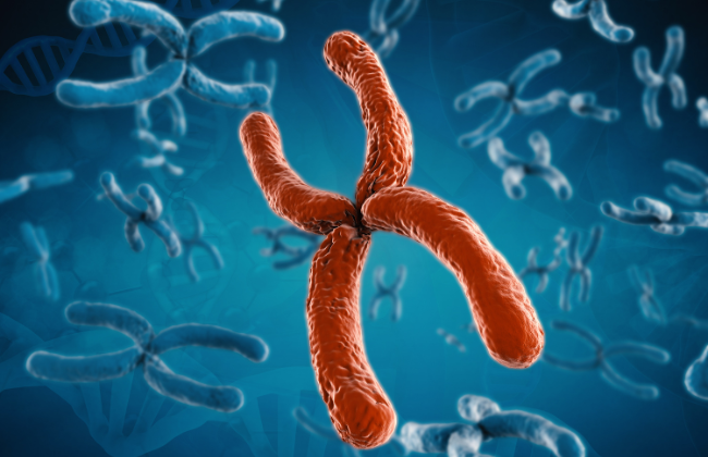 Trisomia chromosomu X